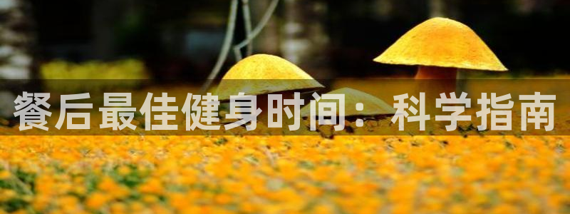 意昂2招商