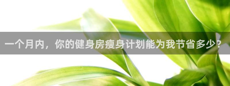 意昂2招商